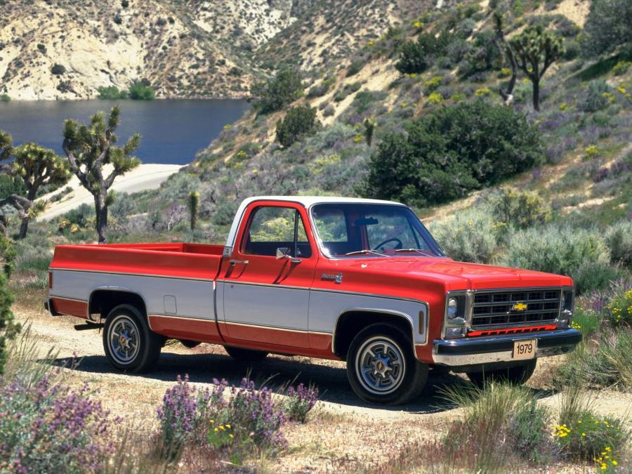  Chevrolet C20 Silverado Fleetside 1979 года  (фото 3 из 3)